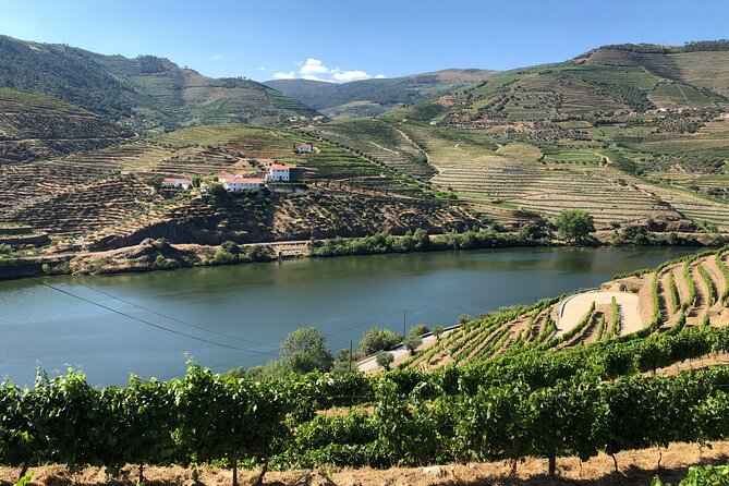 Douro Valley private wine tour | tastings and lunch included - Quinta wine tastings: Port and Douro DOC, with variety built in