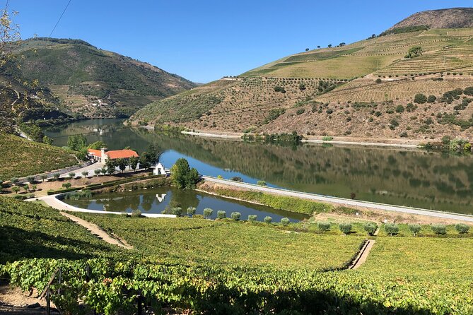 Douro Valley private wine tour | tastings and lunch included - Price and value: is $313.35 per person worth it?