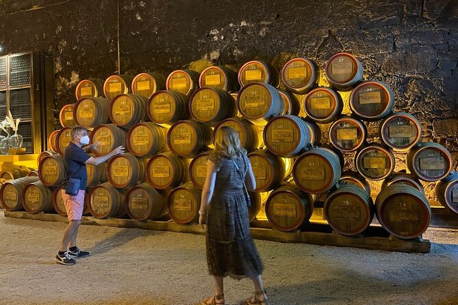 Douro Valley private wine tour | tastings and lunch included - Comfort, pace, and how private stays private