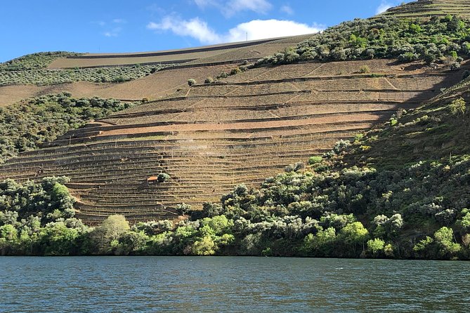 Douro Valley private wine tour | tastings and lunch included - Lunch in the Douro: three courses, wine included