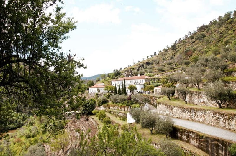 Douro Valley: Real Small-Group, Wine Tasting, Lunch & Boat - Who Should Book This Douro Day Trip?
