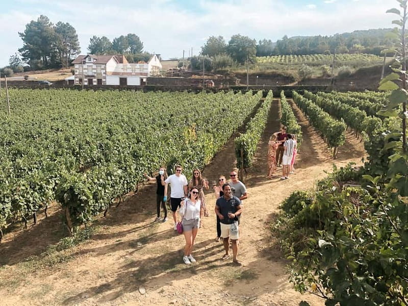 Douro Valley: Real Small-Group, Wine Tasting, Lunch & Boat - Pinhão Boat Cruise: How to See the Valley Without Rushing