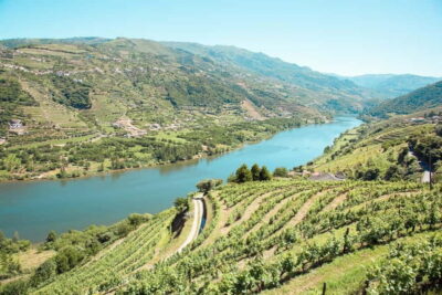 Douro Valley: Real Small-Group, Wine Tasting, Lunch & Boat - First Winery Stop: Port Wine, the Full Process, and Cheese Pairing