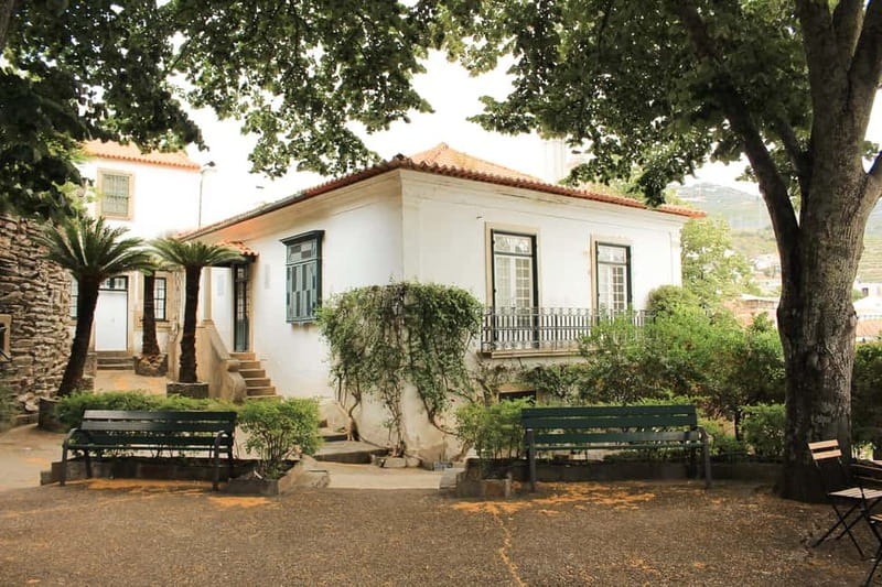 Douro Valley: Real Small-Group, Wine Tasting, Lunch & Boat - Lunch Break: Typical Portuguese Food, With Real-World Tradeoffs