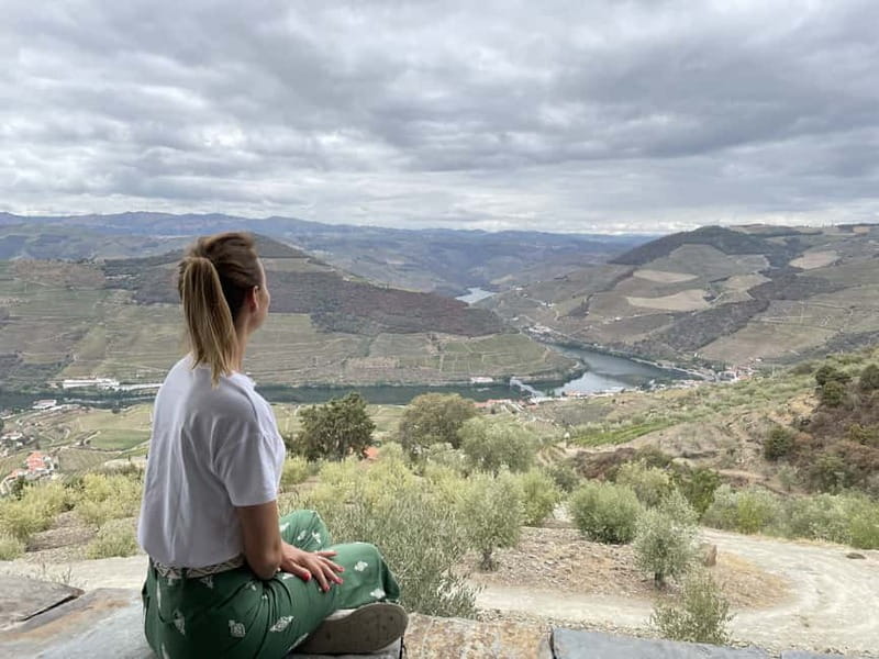 Douro Valley: Real Small-Group, Wine Tasting, Lunch & Boat - Second Winery Stop: Table Wines, Premium Differences, and Private Guidance