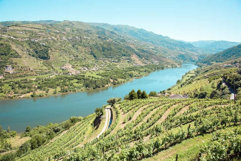 Douro Valley: Real Small-Group, Wine Tasting, Lunch & Boat - First Winery Stop: Port Wine, the Full Process, and Cheese Pairing