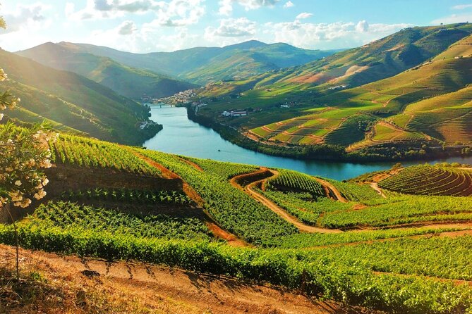 Douro Valley - Relaxed Departure from Porto - Key Highlights You Will Actually Feel