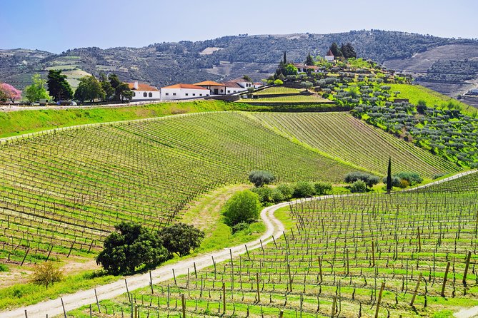 Douro Valley - Relaxed Departure from Porto - Why This Douro Day Feels Relaxed (Even When It Runs Long)