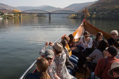 Douro Valley Small-Group Tour with Wine Tasting, Lunch and Boat - Peso da Régua winery stop: Douro DOC tasting at a family estate