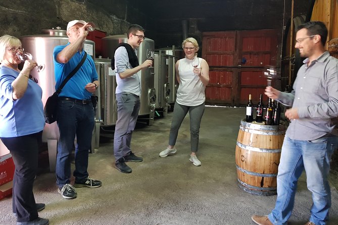Douro Valley Tour: 2 Vineyard Visits, River Cruise, Winery Lunch - The comfortable ride: air-conditioning, Wi‑Fi, and curvy roads