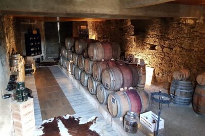 Douro Valley Tour: 2 Vineyard Visits, River Cruise, Winery Lunch - Stop 1 in Lamego: a family vineyard tasting with views you can feel