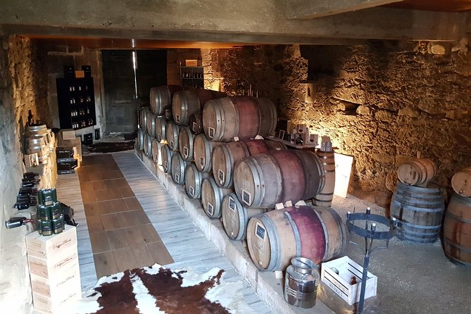 Douro Valley Tour: 2 Vineyard Visits, River Cruise, Winery Lunch - Stop 1 in Lamego: a family vineyard tasting with views you can feel