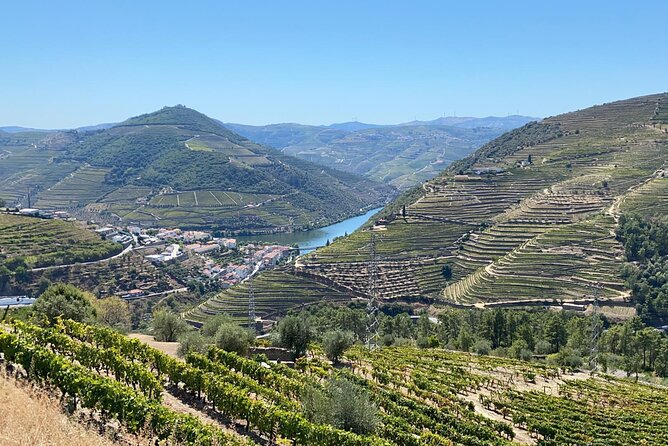 Douro Valley Tour - 3 Wine tastings, Lunch & river Cruise - Sabrosa Lunch at a Vintage House: Food First, Then Cellars