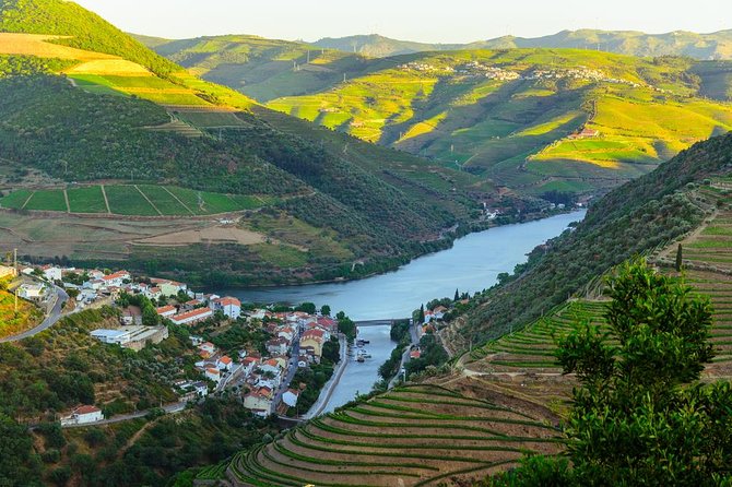 Douro Valley Tour: Wine Tasting, Cruise and Lunch from Porto - Porto pickup, coach comfort, and how the 10.5 hours feel
