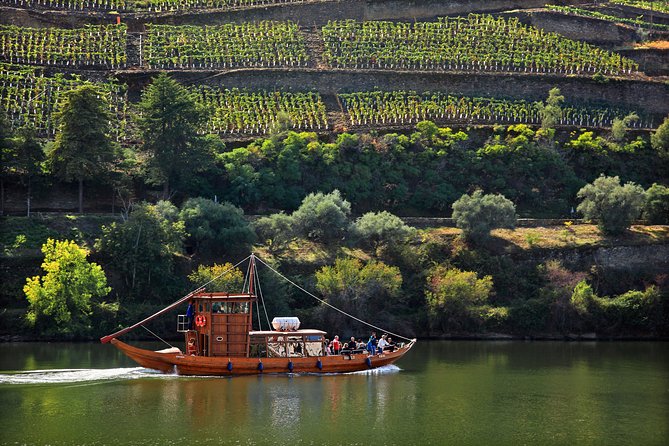 Douro Valley Tour: Wine Tasting, Cruise and Lunch from Porto - Price and value: why $84.65 can make sense