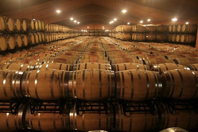 Douro Valley Tour: Wine Tasting, Cruise and Lunch from Porto - Port wine tastings at two different stops: what to expect
