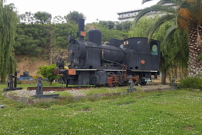 Douro Valley Tour: Wine Tasting River Cruise and Lunch from Porto - Barco Rebelo Cruise on the Douro: The Best Slow Hour