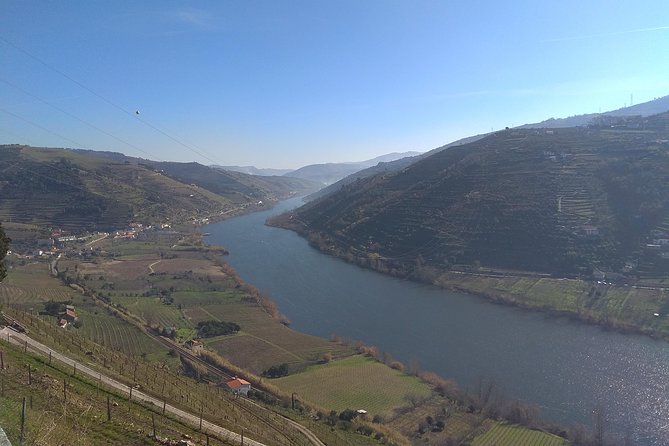 Douro Valley Tour: Wine Tasting River Cruise and Lunch from Porto - Lunch at the Farm: Tastings, Food, and the Dining Room Reality