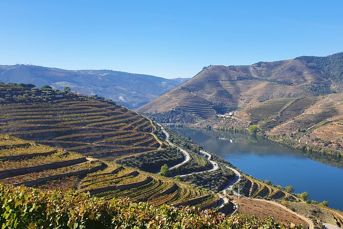 Douro Valley Tour: Wine Tasting River Cruise and Lunch from Porto - Wine Value: Why This Package Makes Sense