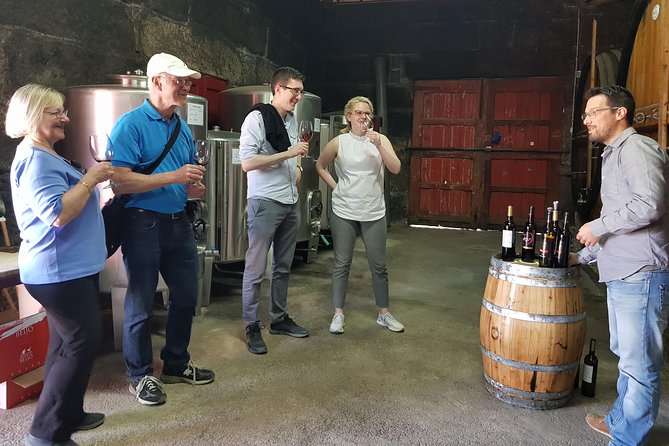 Douro Valley Wine Tour: 3 Vineyard Visits, Wine Tastings, Lunch - Pinhão Views and the Sabrosa Vineyard Lunch: 4 Courses Plus Douro Pairings