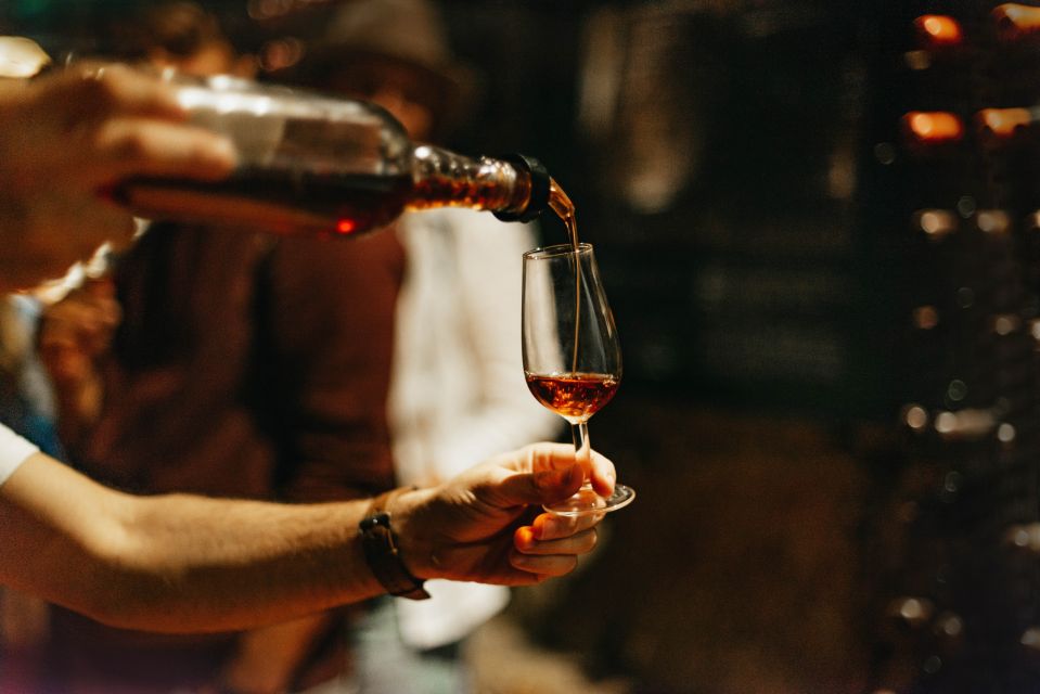 Douro Valley: Wine Tour with Lunch, Tastings & River Cruise - Douro Valley wine tour from Porto: how this day gets structured