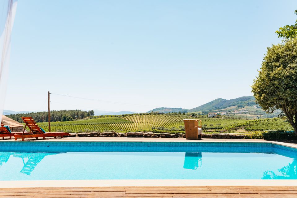 Douro Valley: Wine Tour with Lunch, Tastings & River Cruise - Porto bonus: the free walking tour add-on