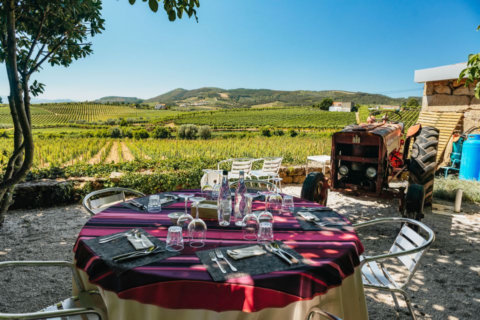 Douro Valley: Wine Tour with Lunch, Tastings & River Cruise - The 1-hour Douro River cruise at Pinhão: calm time in the middle of tasting