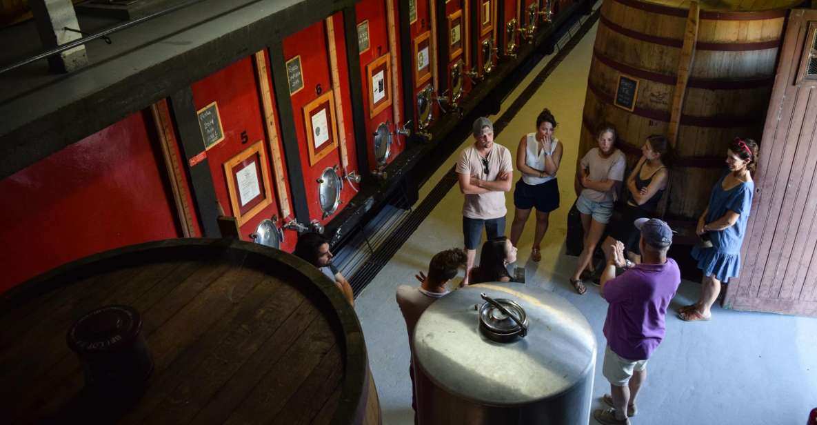 Douro Valley: Winery Tour at Quinta do Tedo and Tastings - Quinta do Tedo highlights you’ll care about