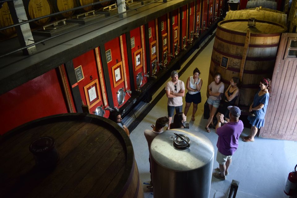 Douro Valley: Winery Tour at Quinta do Tedo and Tastings - Inside the 18th-century estate tour: what you’ll see and learn