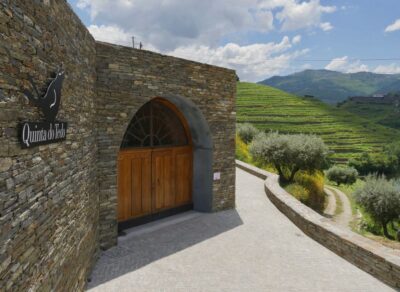 Douro Valley: Winery Tour at Quinta do Tedo and Tastings - Organic grapes and Class A vineyards: what the specs mean