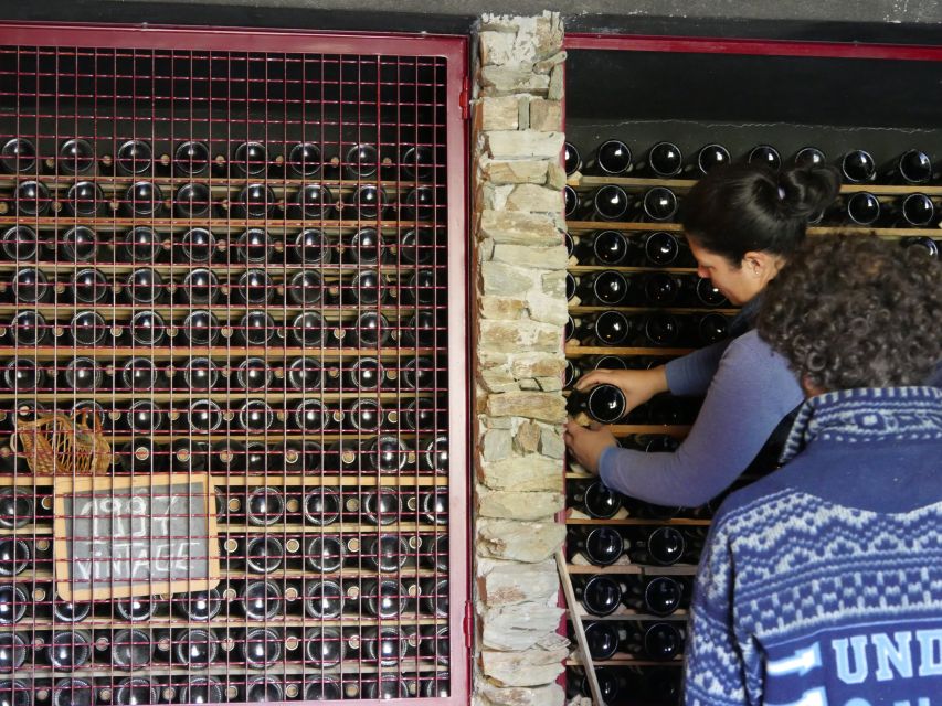 Douro Valley: Winery Tour at Quinta do Tedo and Tastings - The tasting: Portos and red wines with real Douro River views
