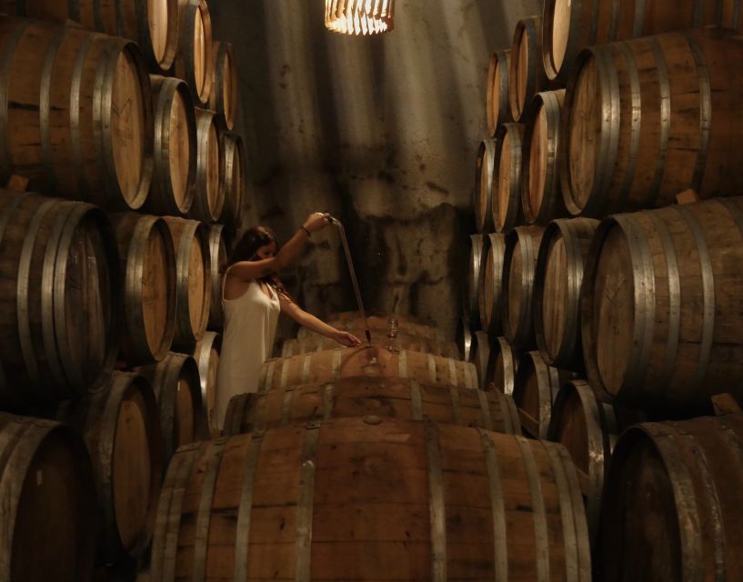 Douro Valley: Winery Tour at Quinta do Tedo and Tastings - Timing and pacing: how to fit this into your day