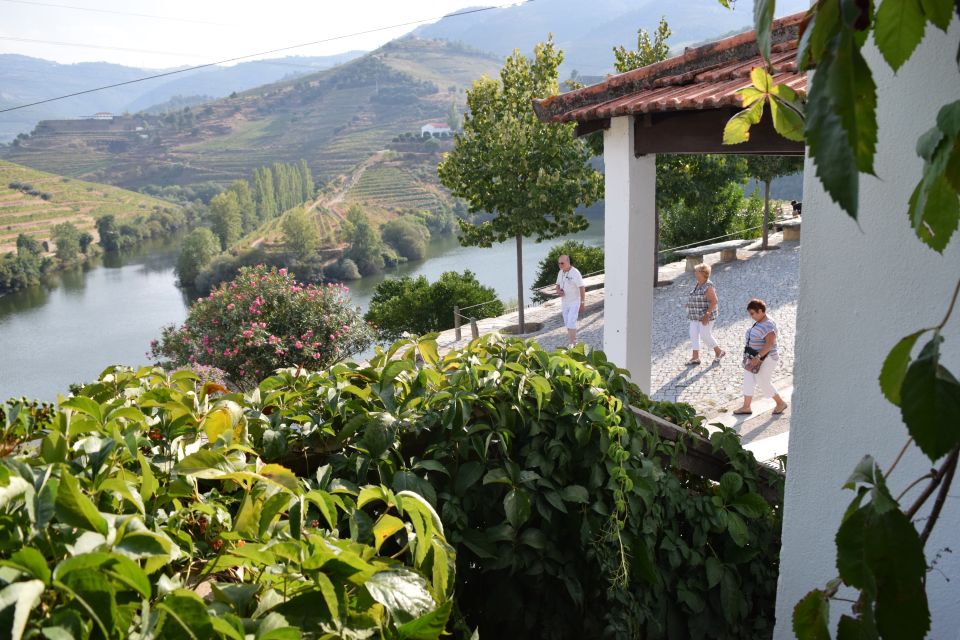 Douro Valley: Winery Tour at Quinta do Tedo and Tastings - Price and value: is $42 worth it?