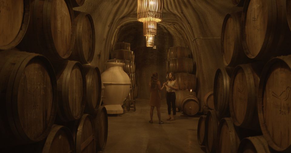 Douro Valley: Winery Tour at Quinta do Tedo and Tastings - Who this tour suits best (and who might want something else)