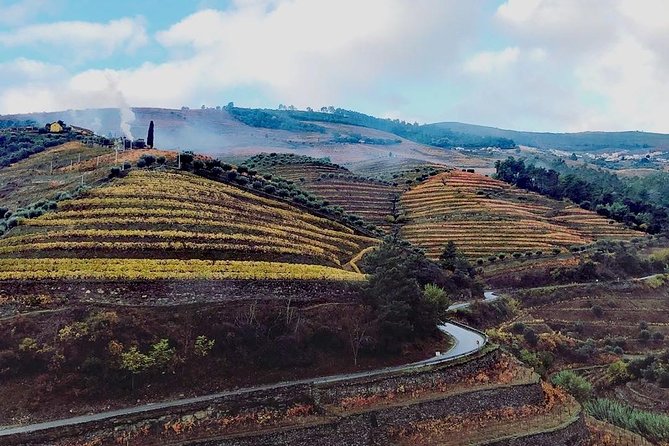 Douro Valley with Two Winery, Boat Trip and Lunch From Porto - Key points before you go