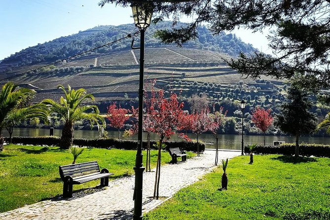 Douro Valley with Two Winery, Boat Trip and Lunch From Porto - Quinta do Seixo (Sandeman): the first winery tasting stop