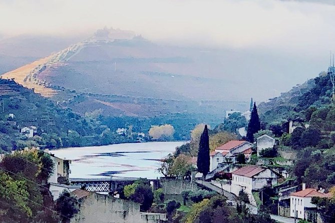 Douro Valley with Two Winery, Boat Trip and Lunch From Porto - Pinhão river cruise: a relaxing 50 minutes on the Douro