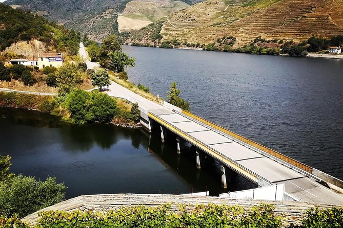 Douro Valley with Two Winery, Boat Trip and Lunch From Porto - D’Origem winery tasting: finishing with another style of Douro