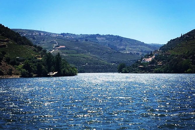 Douro Valley with Two Winery, Boat Trip and Lunch From Porto - Tastings beyond wine: olive oil, honey, and almonds