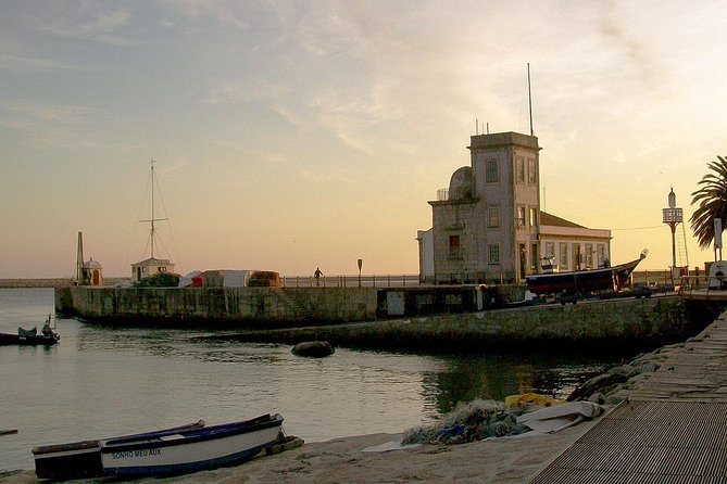 Experience Porto by Bike: 3-Hour Private Tour - Key Highlights You’ll Actually Feel on the Ride
