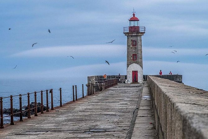Experience Porto by Bike: 3-Hour Private Tour - Who Should Book This Bike Tour (and Who Might Skip It)