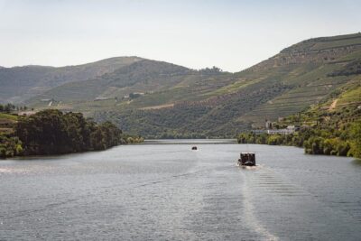 From Pinhão: Douro Valley Rabelo Boat Tour with Port Wine - The Stops You Don’t Get by Car: Quinta Views in Real Time