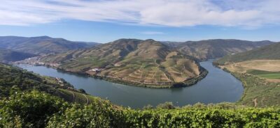 From Pinhão: Douro Valley Tour w/ Wine Tasting and Boat Trip - The 50-Minute Douro Boat Cruise: Views, Stories, and Port Moments