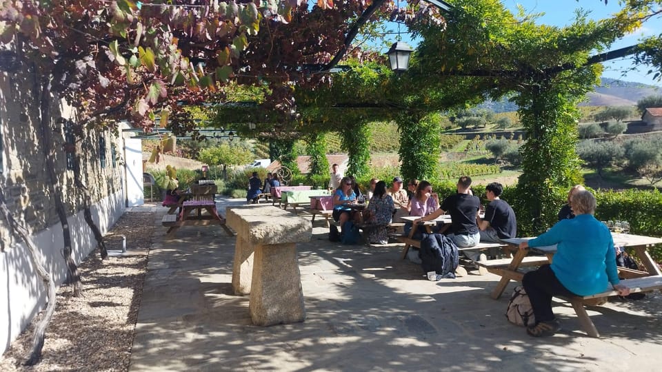 From Pinhão: Douro Valley Tour w/ Wine Tasting and Boat Trip - Guides Make the Difference: Humor, Pacing, and Local Detail
