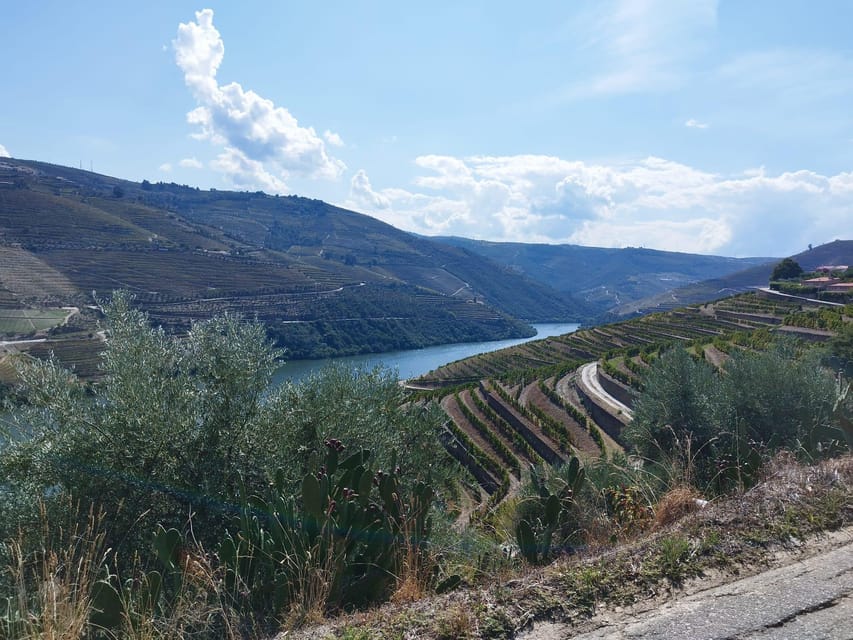From Pinhão: Douro Valley Tour w/ Wine Tasting and Boat Trip - Timing and Logistics: Why 3 Hours Feels Just Right