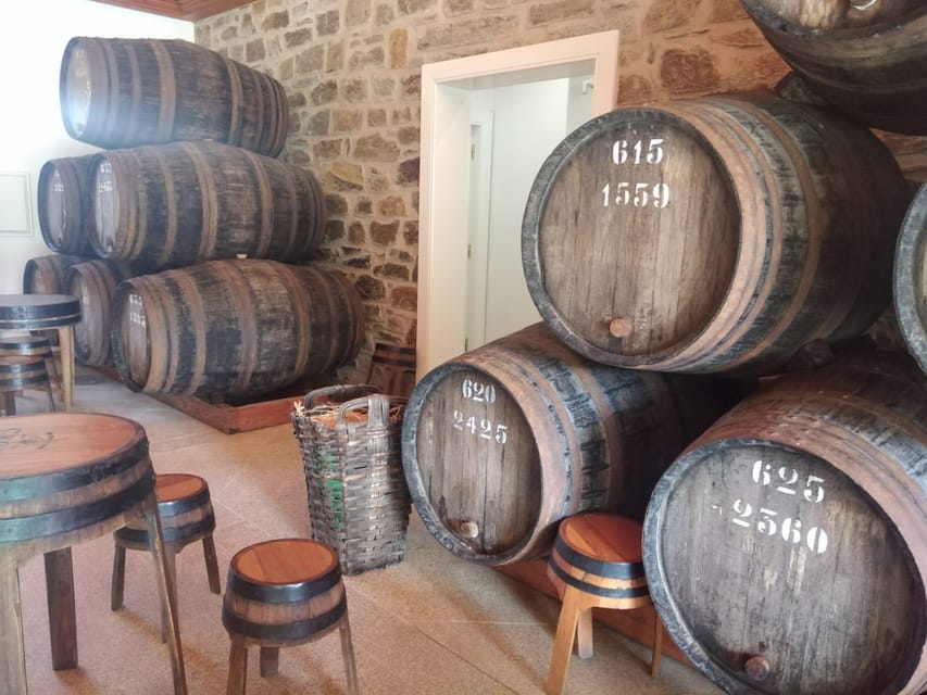From Pinhão: Douro Valley Tour w/ Wine Tasting and Boat Trip - Who This Tour Suits (and Who Should Skip It)