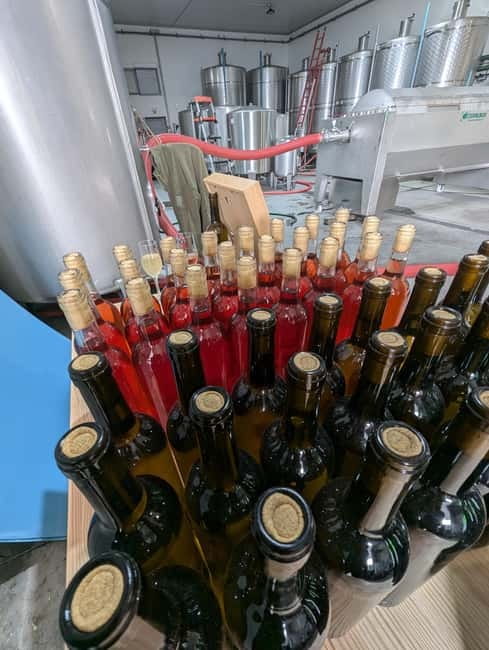 From Porto: 2 Wine Regions, Farm-to-Table Lunch & Boat - Vinho Verde estate time: breakfast-style starters and classic varietals