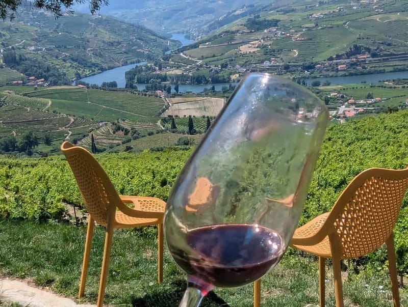 From Porto: 2 Wine Regions, Farm-to-Table Lunch & Boat - Douro Valley winery visit: winemaker access and big-view lunch
