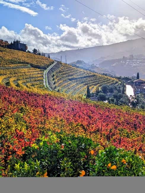 From Porto: 2 Wine Regions, Farm-to-Table Lunch & Boat - Pinhão photo stop and the 1-hour private boat cruise