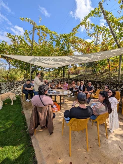 From Porto: 2 Wine Regions, Farm-to-Table Lunch & Boat - Wine tastings and pacing: why the day doesn’t feel like a blur